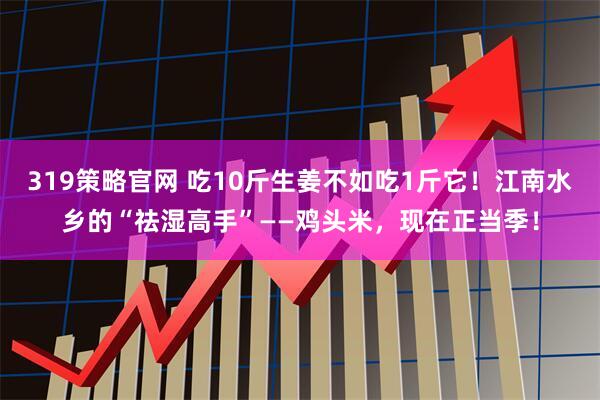 319策略官网 吃10斤生姜不如吃1斤它！江南水乡的“祛湿高手”——鸡头米，现在正当季！
