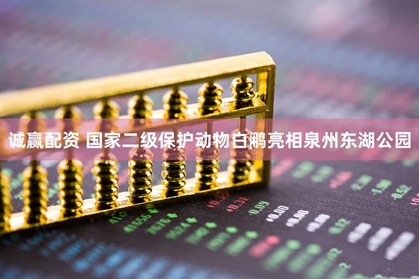 诚赢配资 国家二级保护动物白鹇亮相泉州东湖公园