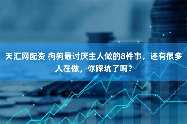 天汇网配资 狗狗最讨厌主人做的8件事，还有很多人在做，你踩坑了吗？