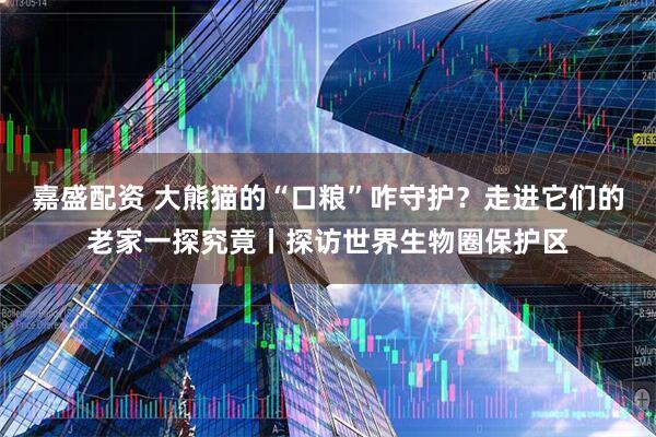 嘉盛配资 大熊猫的“口粮”咋守护？走进它们的老家一探究竟丨探访世界生物圈保护区