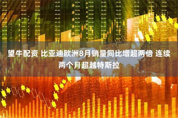 望牛配资 比亚迪欧洲8月销量同比增超两倍 连续两个月超越特斯拉