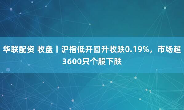 华联配资 收盘丨沪指低开回升收跌0.19%，市场超3600只个股下跌
