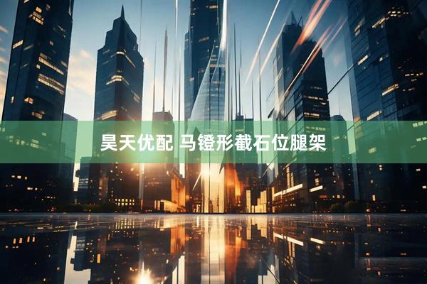 昊天优配 马镫形截石位腿架