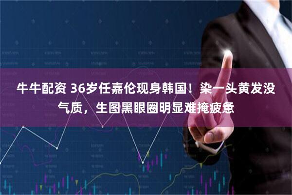 牛牛配资 36岁任嘉伦现身韩国！染一头黄发没气质，生图黑眼圈明显难掩疲惫